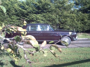 silvershadow pic 053